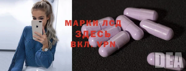 СК Горнозаводск