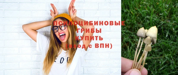 СК Горнозаводск