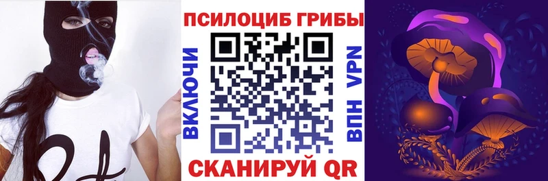 мега ссылка  Заводоуковск  Псилоцибиновые грибы Psilocybe 